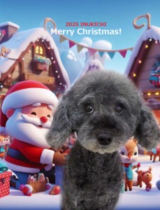 クリスマス2025瀬戸シュシュ