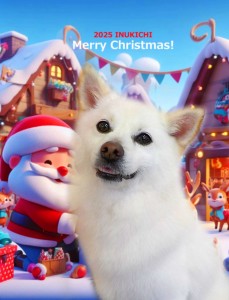 クリスマス2025磯崎しらたま