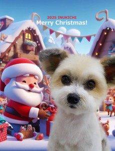 クリスマス2025青木もも