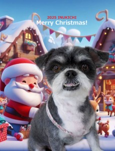 クリスマス2025雨宮チョコ