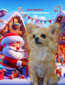 クリスマス2025　村越ちょび