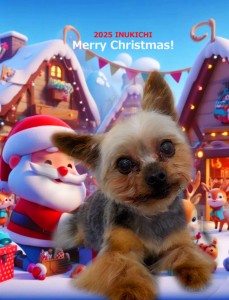 クリスマス2025安江ロン