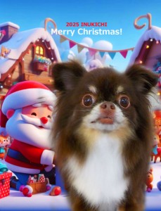 クリスマス2025夏苅むぎ