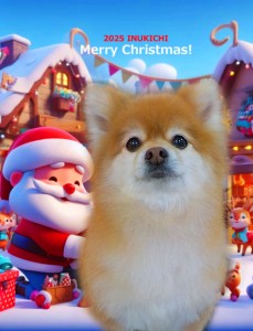 クリスマス2025冨岡モコア