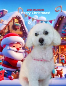 クリスマス2025田中トゥブ