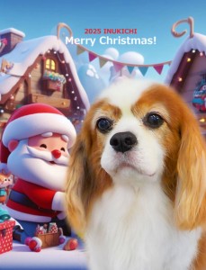 クリスマス2025増井リア