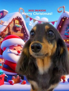 クリスマス2025山本さくら