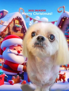 クリスマス2025丸山エイゴ