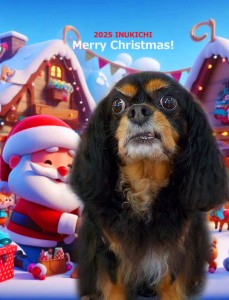 クリスマス2025　夏苅まろ