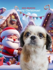 クリスマス2025山本しゅうまい