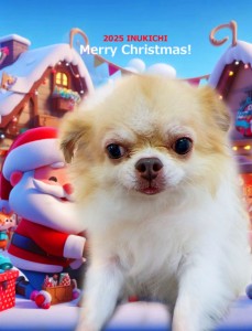 クリスマス2025　綱島リュウ