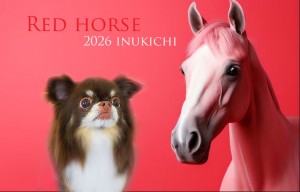 赤い馬_夏苅むぎ