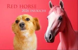 赤い馬久保ロコ