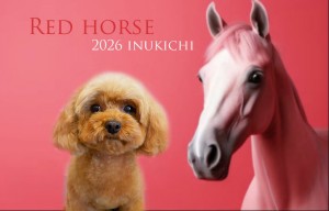 ぼかし赤い馬永田モナ