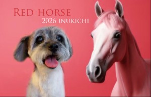 ぼかし赤い馬榎本るい