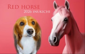 ぼかし赤い馬横溝サンタ