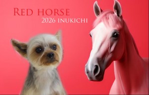 赤い馬_大平ルカ