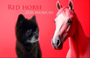 赤い馬_平澤くまのしゅけ