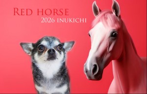 赤い馬_吉村なぎ