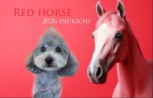 赤い馬ナカタアモル