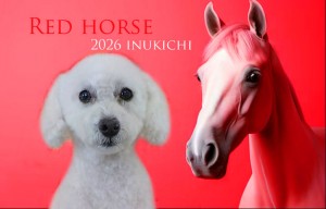 赤い馬_田中トゥブ