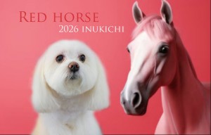 赤い馬_石代れん