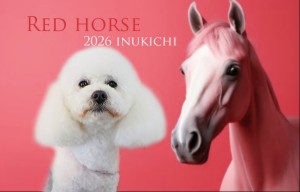 ぼかし赤い馬横溝カール