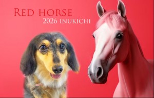 赤い馬_比留川リン