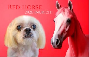 赤い馬_丸山エイゴ