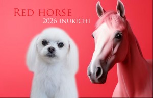 赤い馬_きいろ2