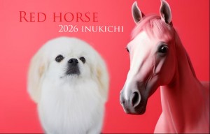 赤い馬_小川むぅ