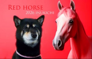 赤い馬_中村ソロ