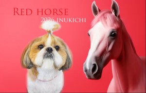 赤い馬_栗田リル