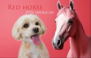 赤い馬渡辺かぼ