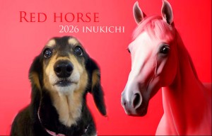 赤い馬_遠藤ステラ