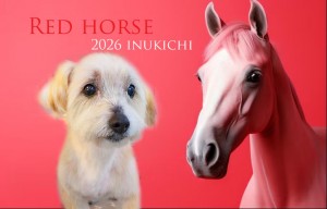 赤い馬榎本あおい