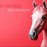 あけましておめでとうございます。9.10.11日