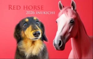 赤い馬比留川ルイ