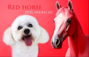 赤い馬_小野ナナ