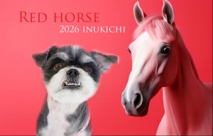 赤い馬雨宮チョコ