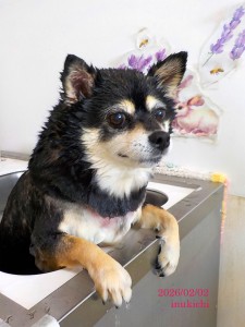 三尋木るい020202