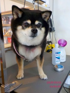 三尋木るい020201