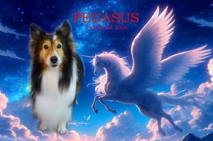 ペガサス_山岸ひなた_edited-1