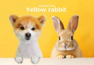 うさぎ -秋沢ココア