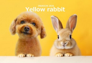 うさぎ 北村華子