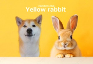 うさぎ -_伊賀ムサシ