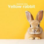 3月1.2日　どんな子がきてくれたのかな・・・