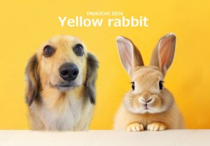 うさぎ 磯崎ルーク