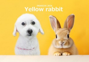 うさぎ -田中トゥブ