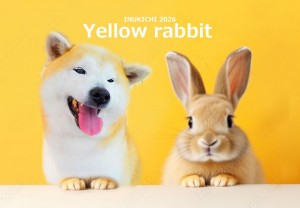 うさぎ -_黒沼まめこ